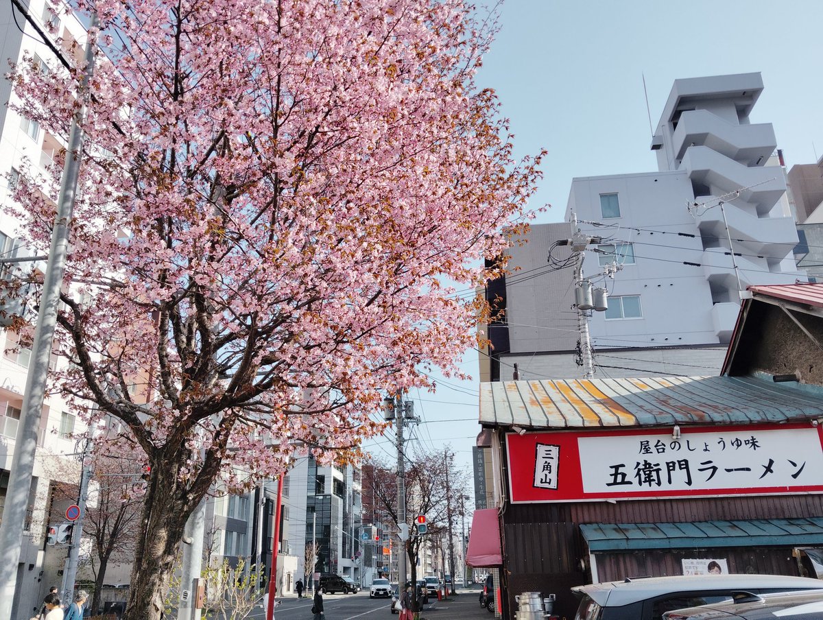 キッドマン北海道付属 tweet media