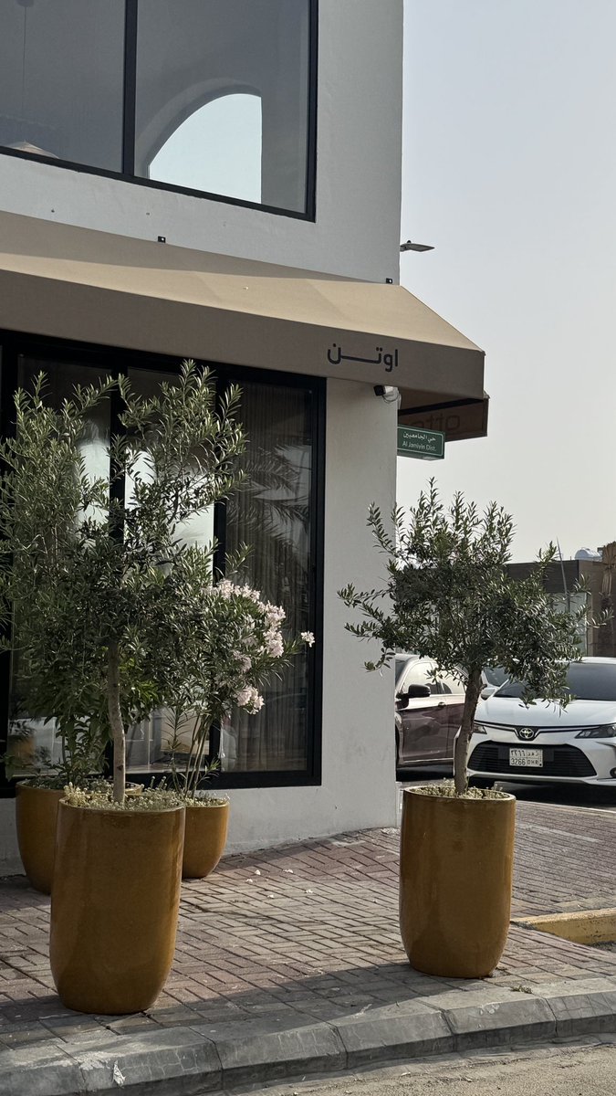 🐈‍⬛ tweet media