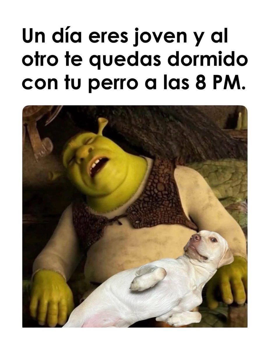 nacional_memes's tweet photo. 🐶 https://t.co/KAwADhAzJn