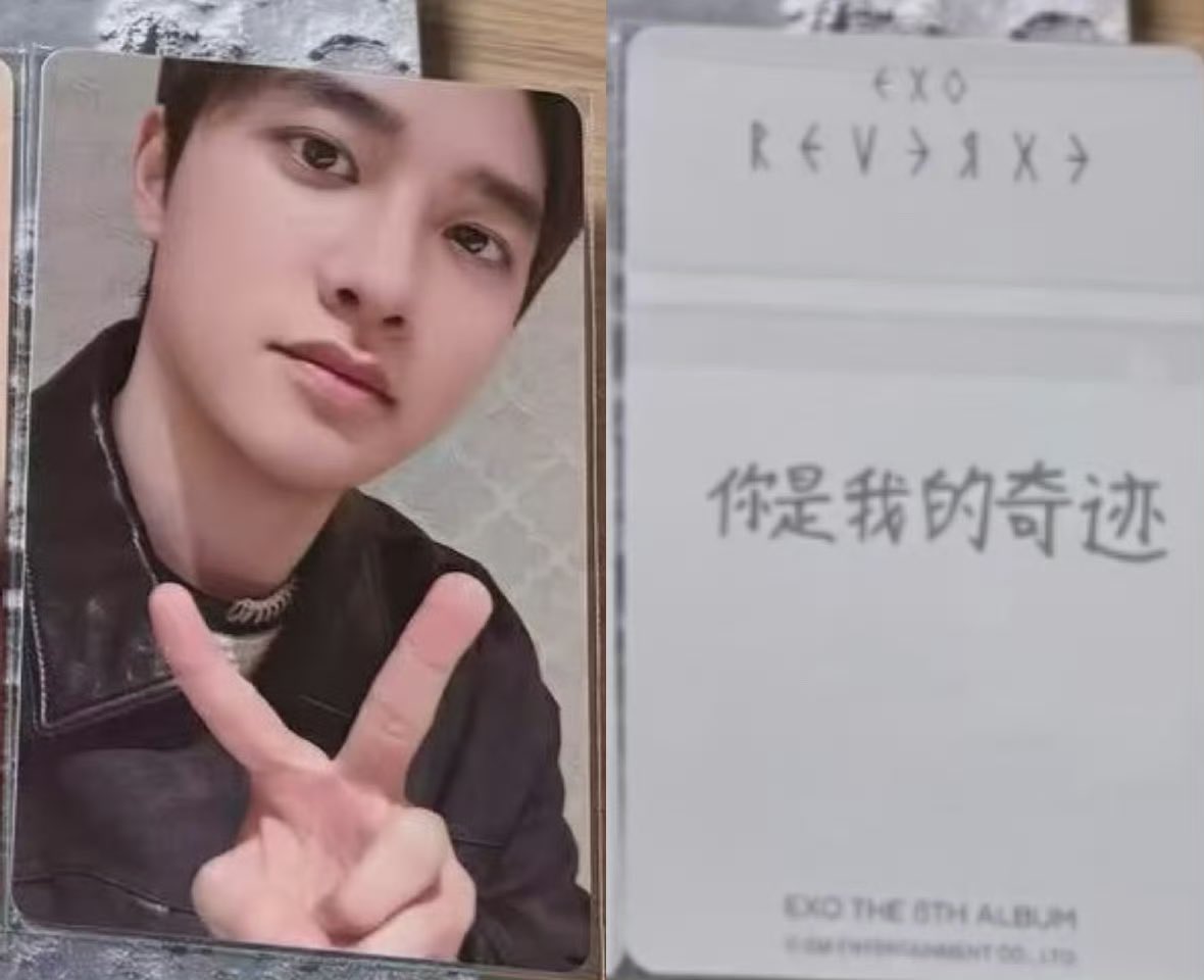 doh_little duckling tweet media