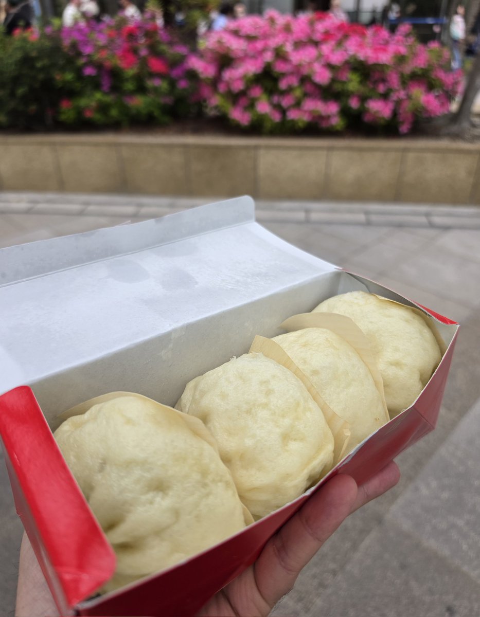 Mosha Winter ☕❄ Fantasy Author 🐉🗡 tweet media