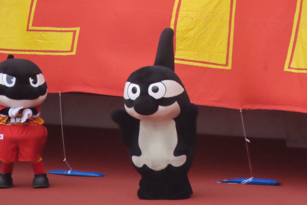 ゔぁん!! tweet media