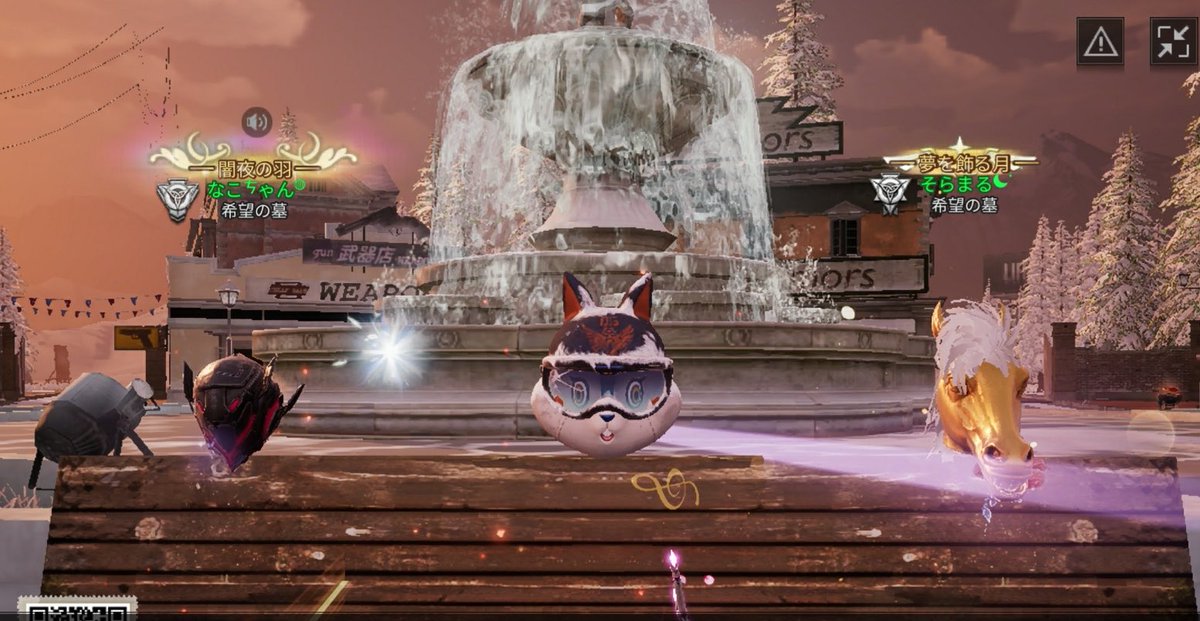 なこすけの中身。 tweet media