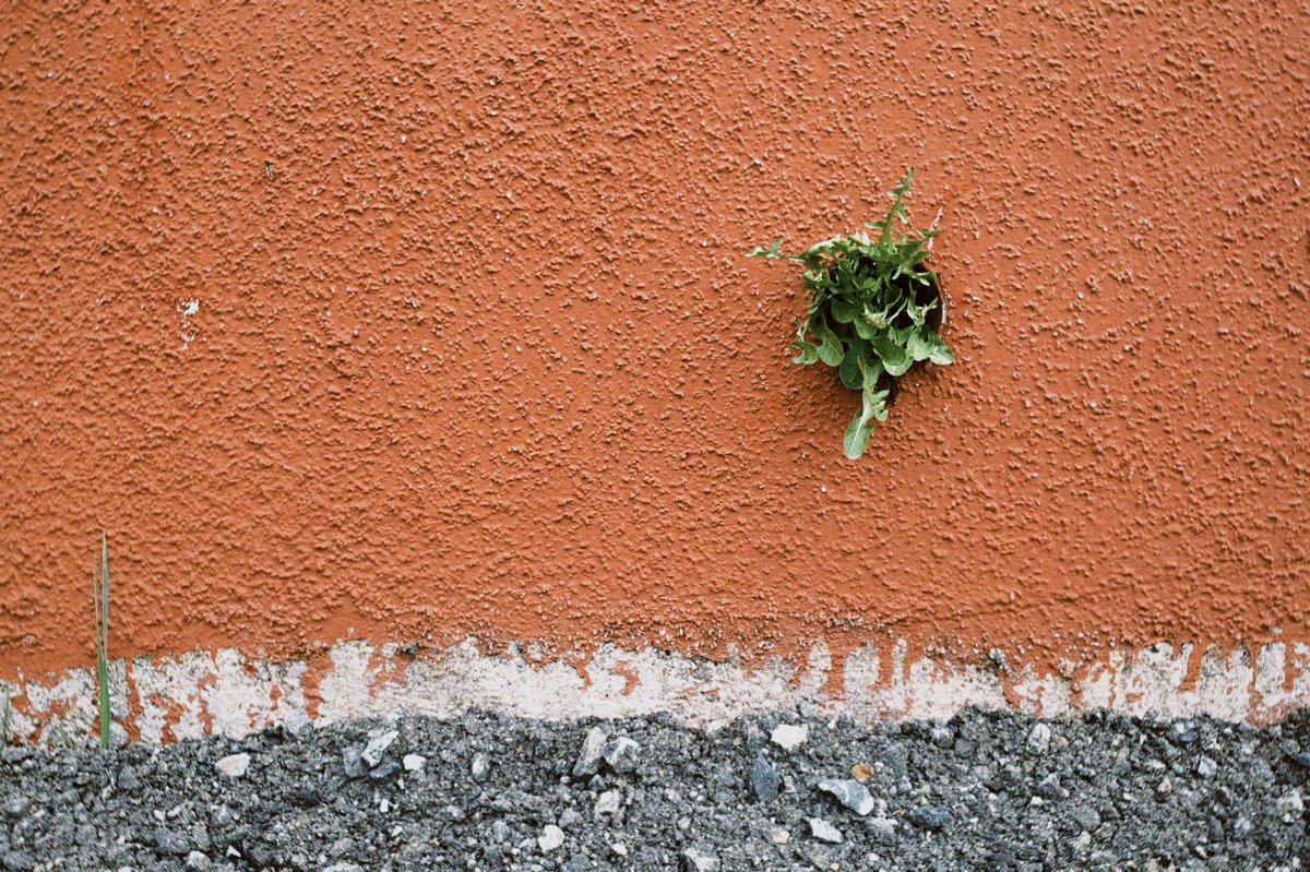 kana00w00's tweet image. #snap