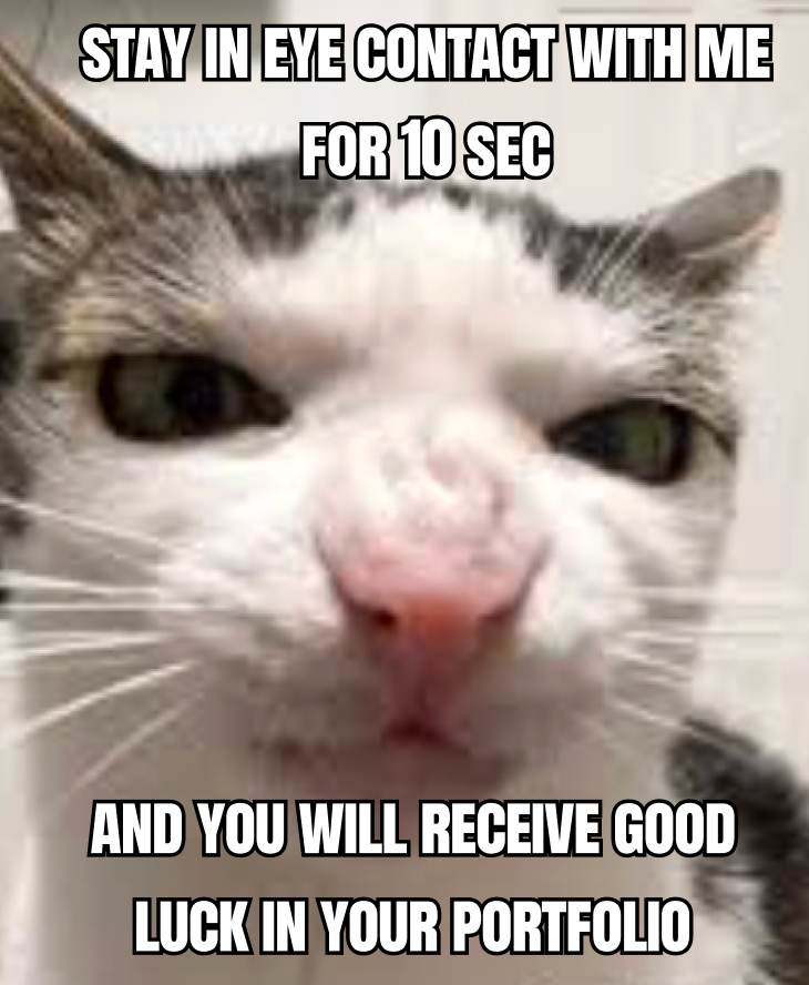 BitMartExchange's tweet photo. https://t.co/rJ0xz8l8Eq