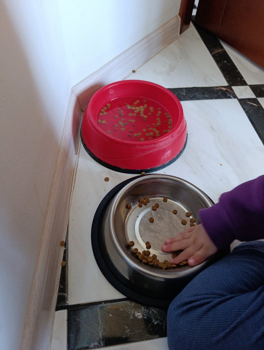 Розвивашки.