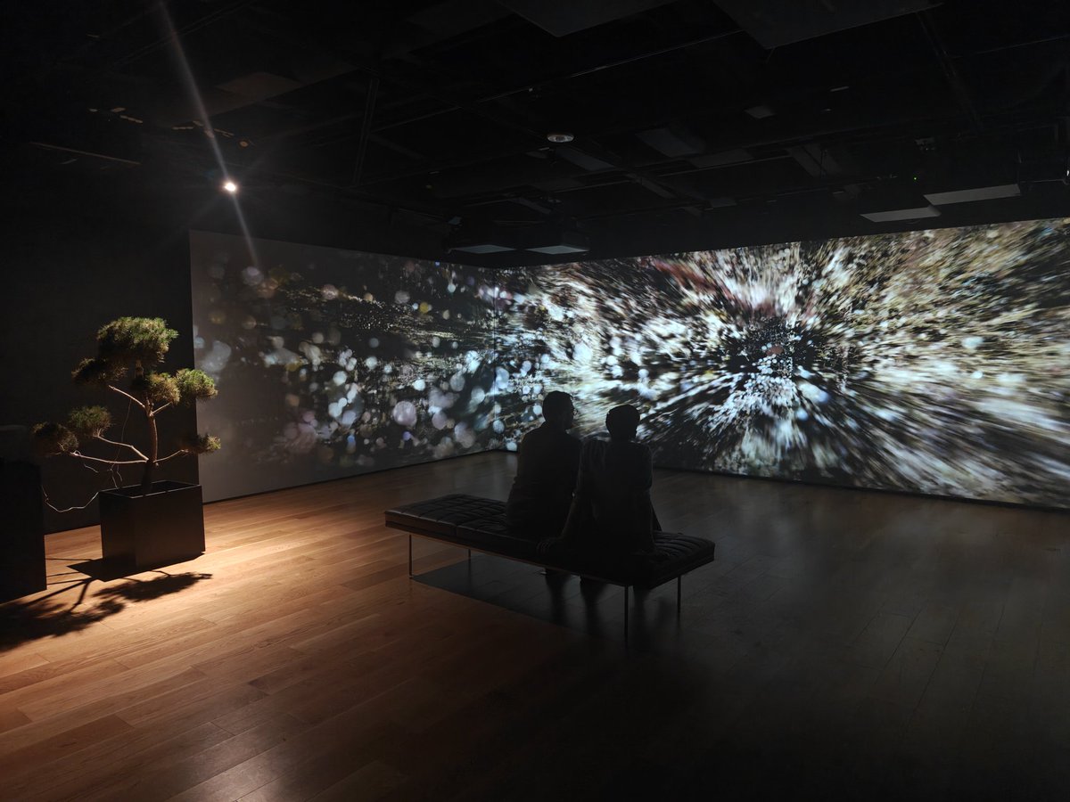 TrueNorthBrown tweet media