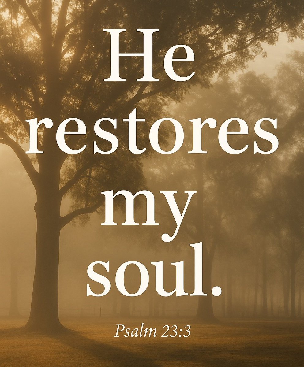 The__Bible7's tweet photo. Psalm 23:3 https://t.co/waidI3BviF