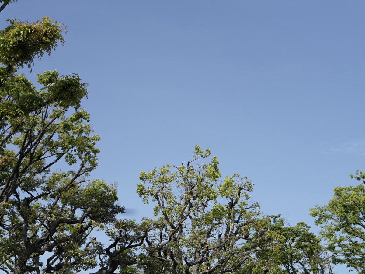 齋藤陽道『まなざしの川をわたる』株式会社せかいはことば tweet media