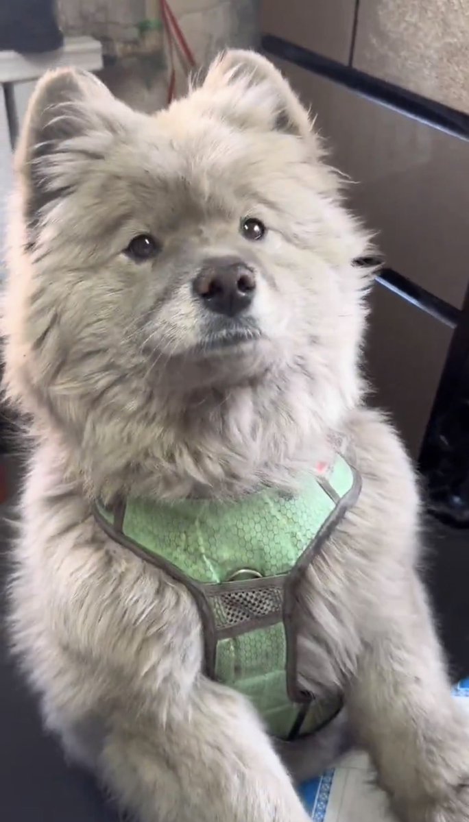 เสือปั๋น มันเป็นเรื่องของอู🪷 tweet media