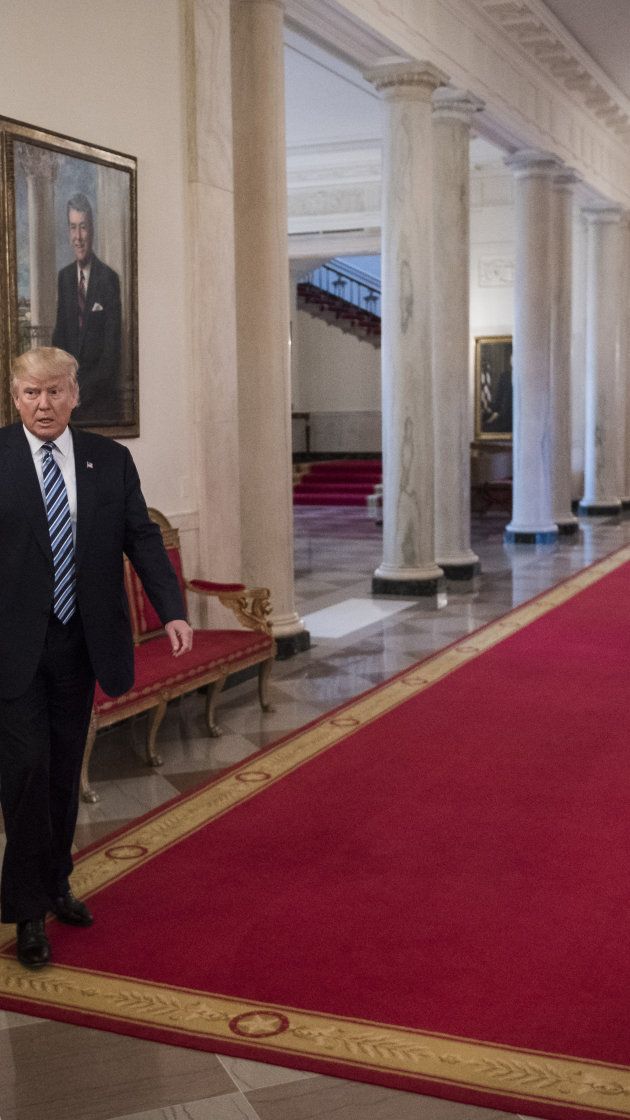 MAGA NEWS tweet media