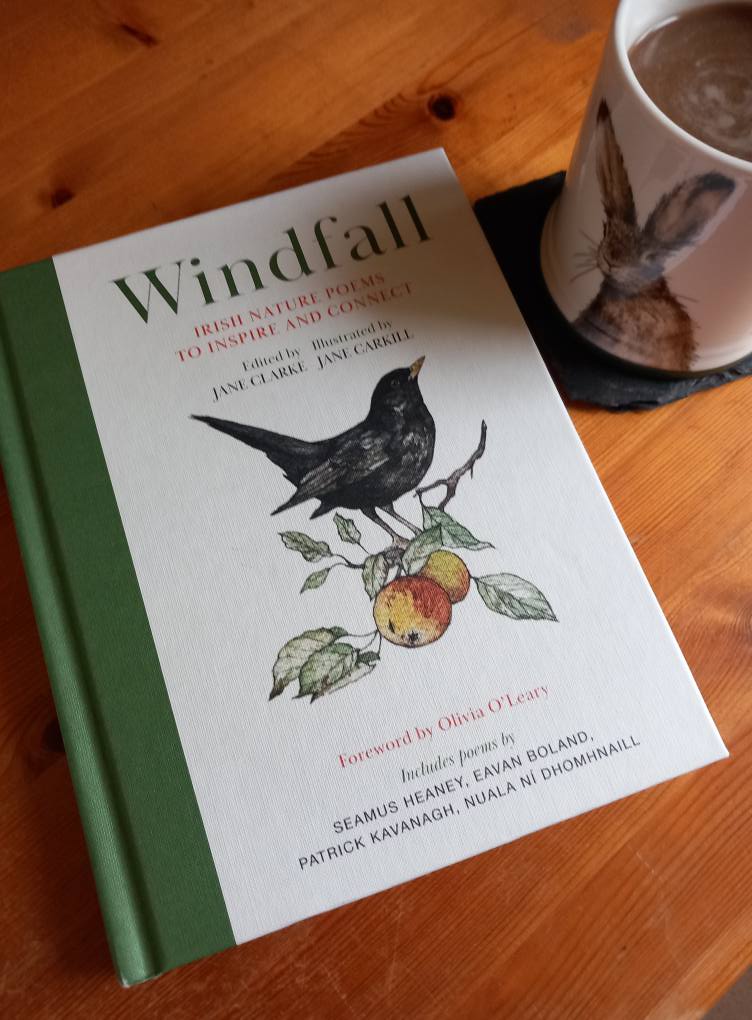 lorraineelizab6's tweet photo. #Otd 2025: Bought 'Windfall: Irish Nature Poems to Inspire and Connect'! By Jane Clarke / @lamblittle_. Seamus Heaney, Eavan Boland, Michael Longley, Paul Muldoon, Yeats, Winifred M. Letts, John Montague, Derek Mahon, John Hewitt, Louis MacNeice, Eva Gore-Booth &amp; more! Gorgeous! https://t.co/QcSEybK38O