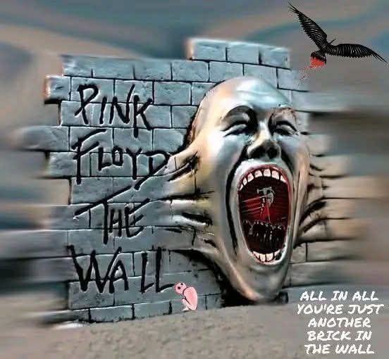 hojsadlo 🇨🇿 tweet media