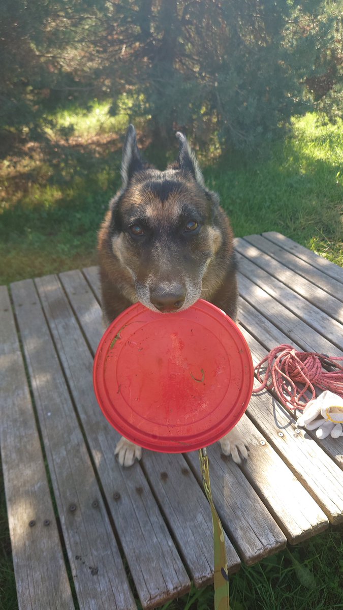 これは写真撮影嫌の顔ですね