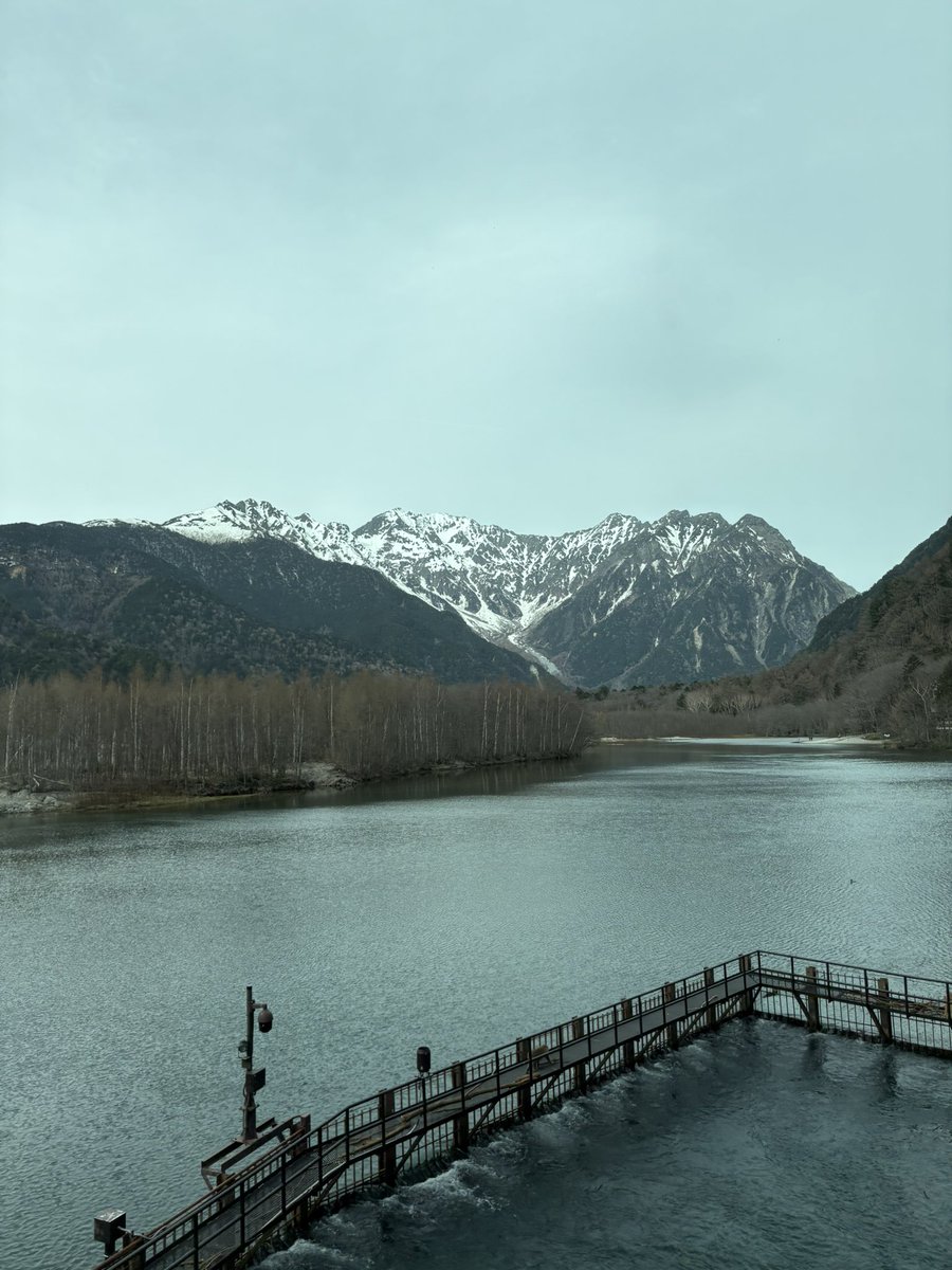 セティ tweet media