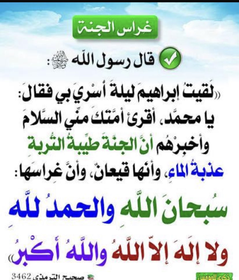 سليمان الربيعة tweet media