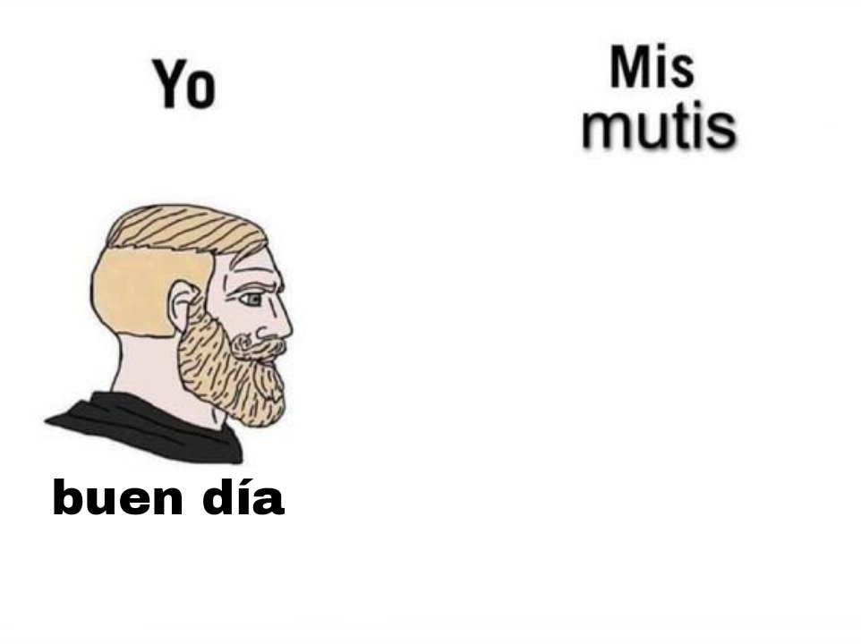 sarasa🧉 tweet media