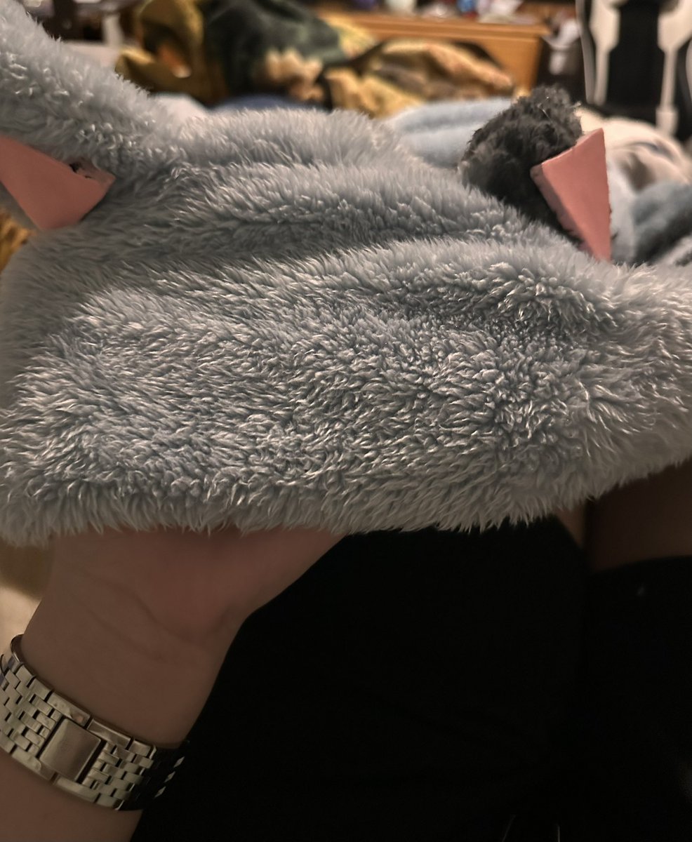 perverted yaoi fetishizer/ hyperlasers coxal bone tweet media