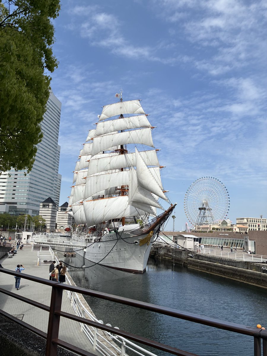 ランディ tweet media