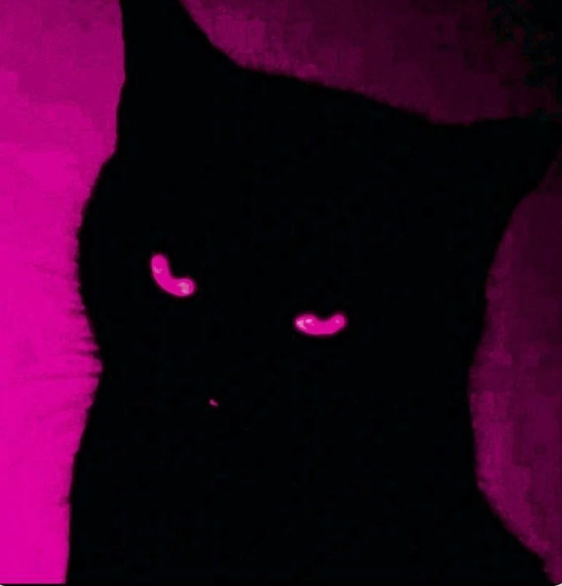 ִ ࣪𖤐⋆˖⁺‧₊☽𝔎𝔞𝔦☾₊‧⁺˖⋆ִ ࣪𖤐 tweet media