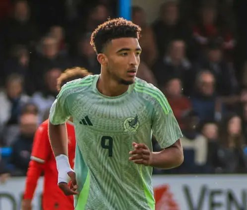 prnhub❁ tweet media