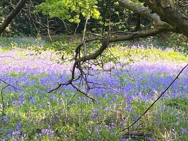philip_ciwf's tweet image. Despite all the challenges, sadness and cruelty in the world, our beautiful #Planet keeps giving
#NatureBeauty
#solace