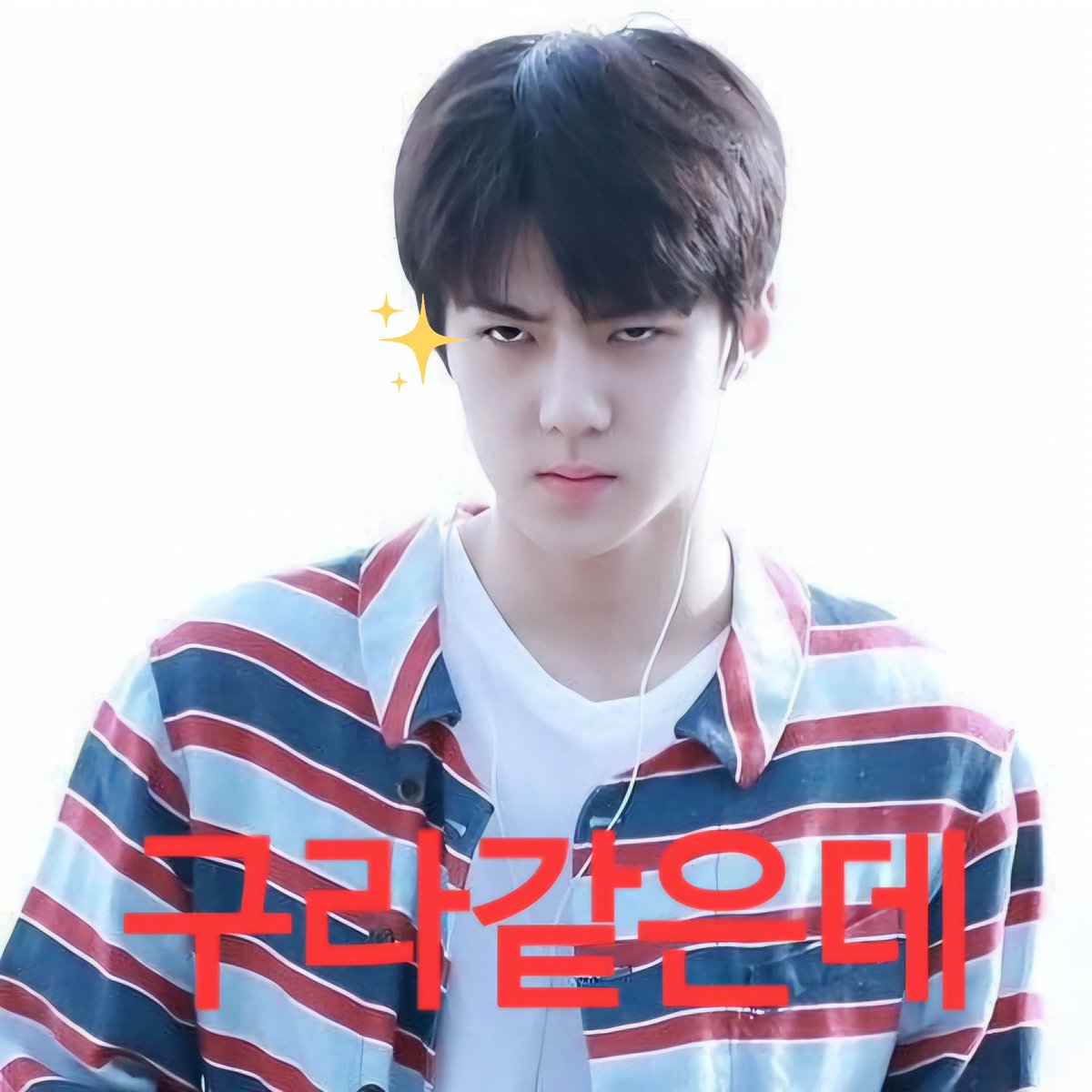 봉 (@shja412) on Twitter photo 