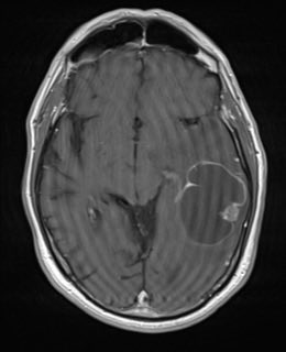 RADIOLOGISTS tweet media