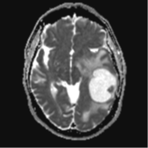 RADIOLOGISTS tweet media