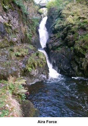 IamHappyHiker's tweet image. This #LakeDistrict walk on Gowbarrow Fell provides some fabulous views along Ullswater without a massive amount of climbing, by following the contours of the hill. Great views of Blencathra. Visits Aira Force waterfall. See happyhiker.co.uk/MyWalks/LakeDi…
#Cumbria
#Waterfalls