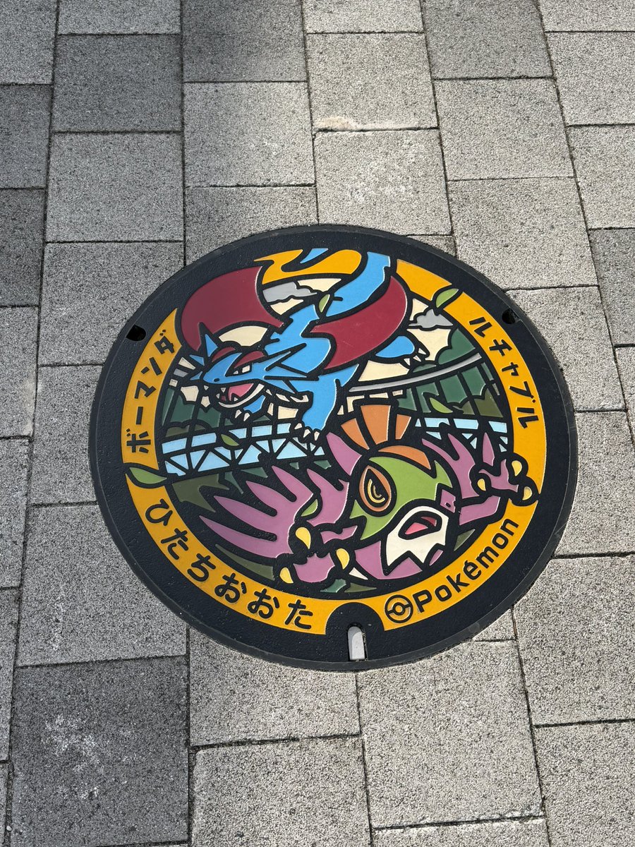 ✖️ちるみ✖️@ポケモンGO tweet media