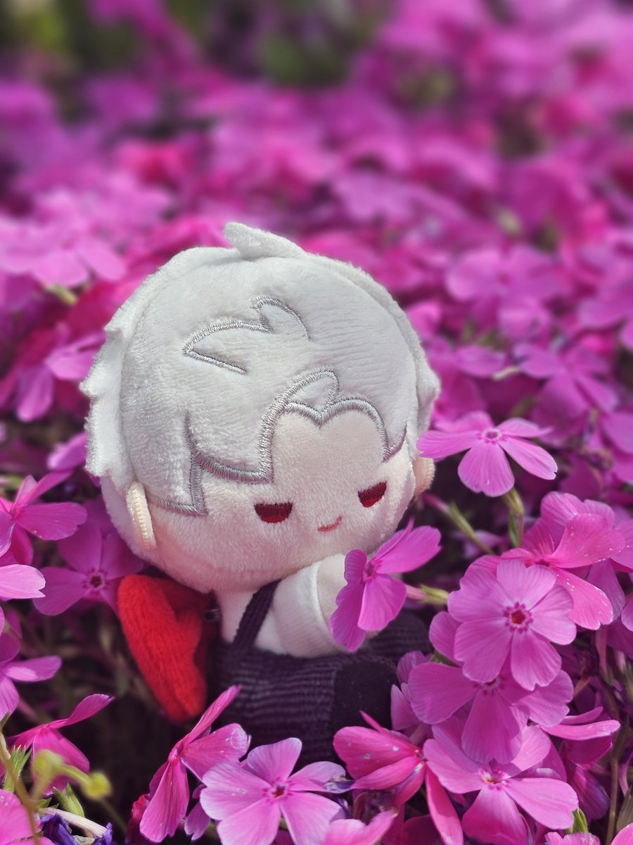 NANA😈🏍️🐦‍⬛💥 tweet media