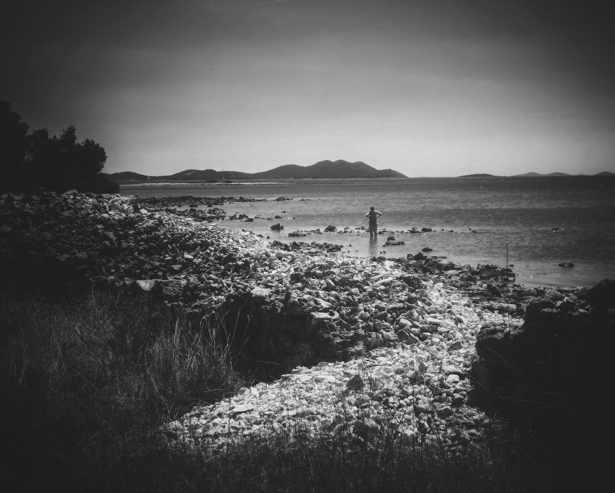 Milan Čekić tweet media