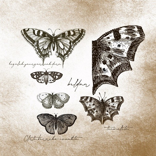 Dominic Roberts tweet media