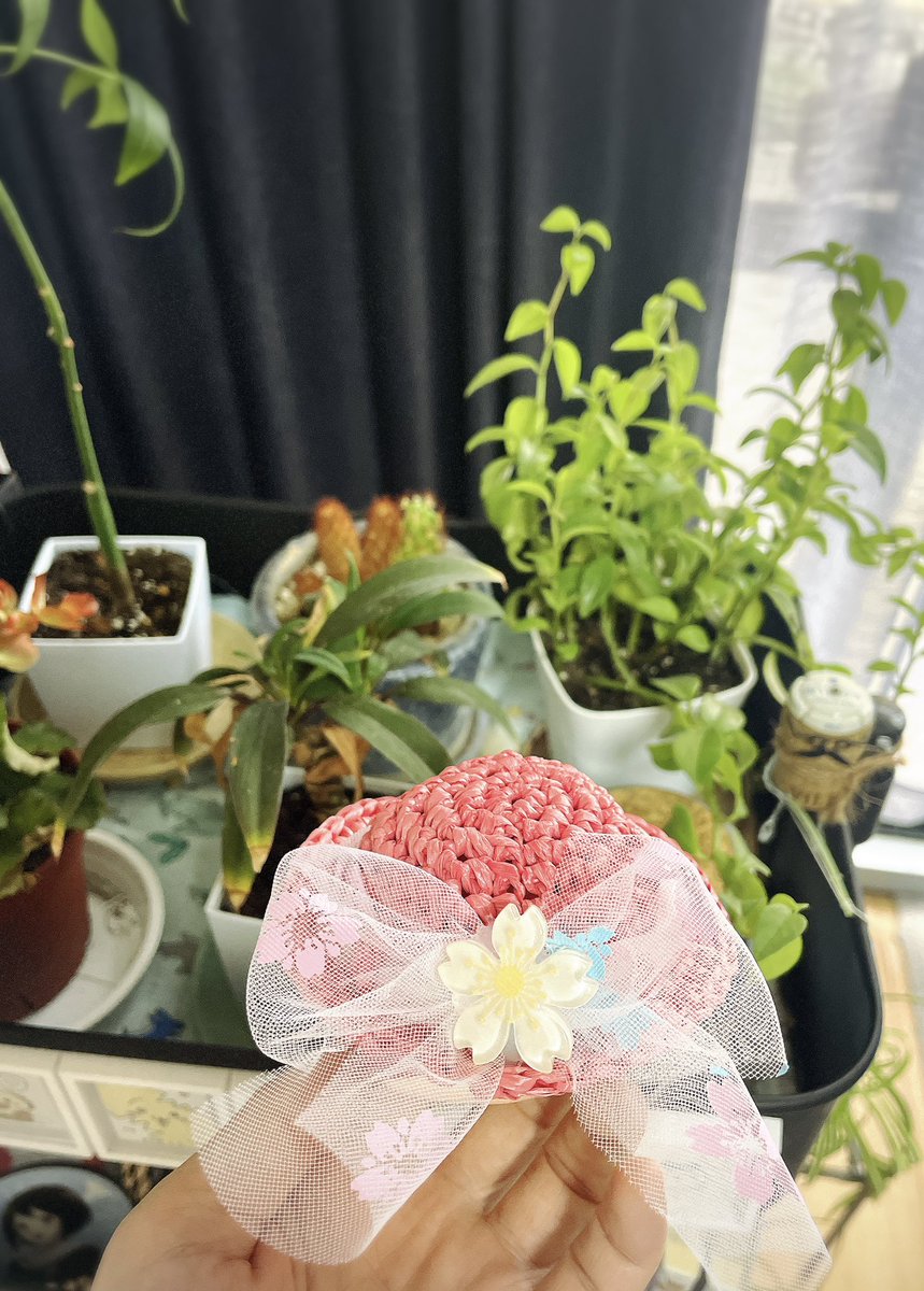 boku_boku45's tweet photo. 昨日帽子もお迎えして帰りました😌
夏のお嬢さん帽子☺️
色つきかわいいかなと。このお色。
似合ってるいるよー👒
いつも素敵な作品ありがとうございます😊 https://t.co/KFziO99amr