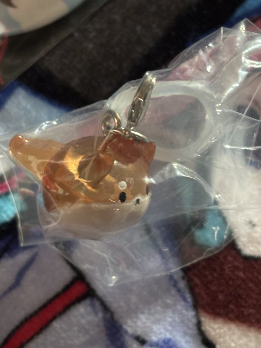 もずく tweet media