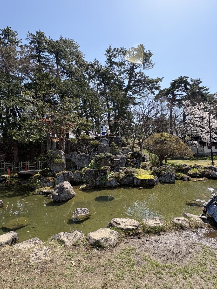 弘前さくらまつりにて、
二宮さん、お疲れ様です。

#国スポ