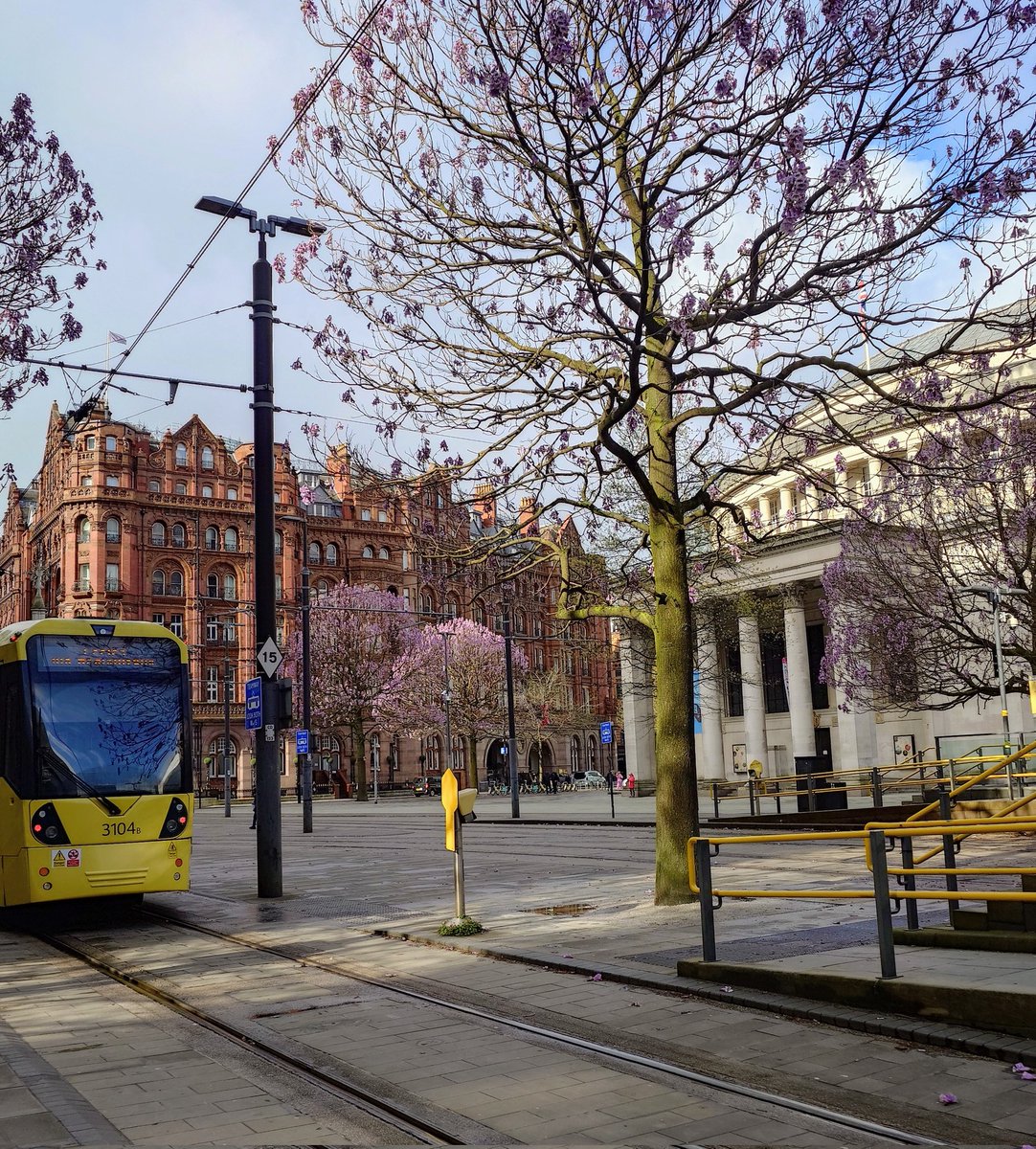 MonicaCrimmins's tweet image. Good morning Sunday.  St Peter's Square 🌸 🚊 #Manchester