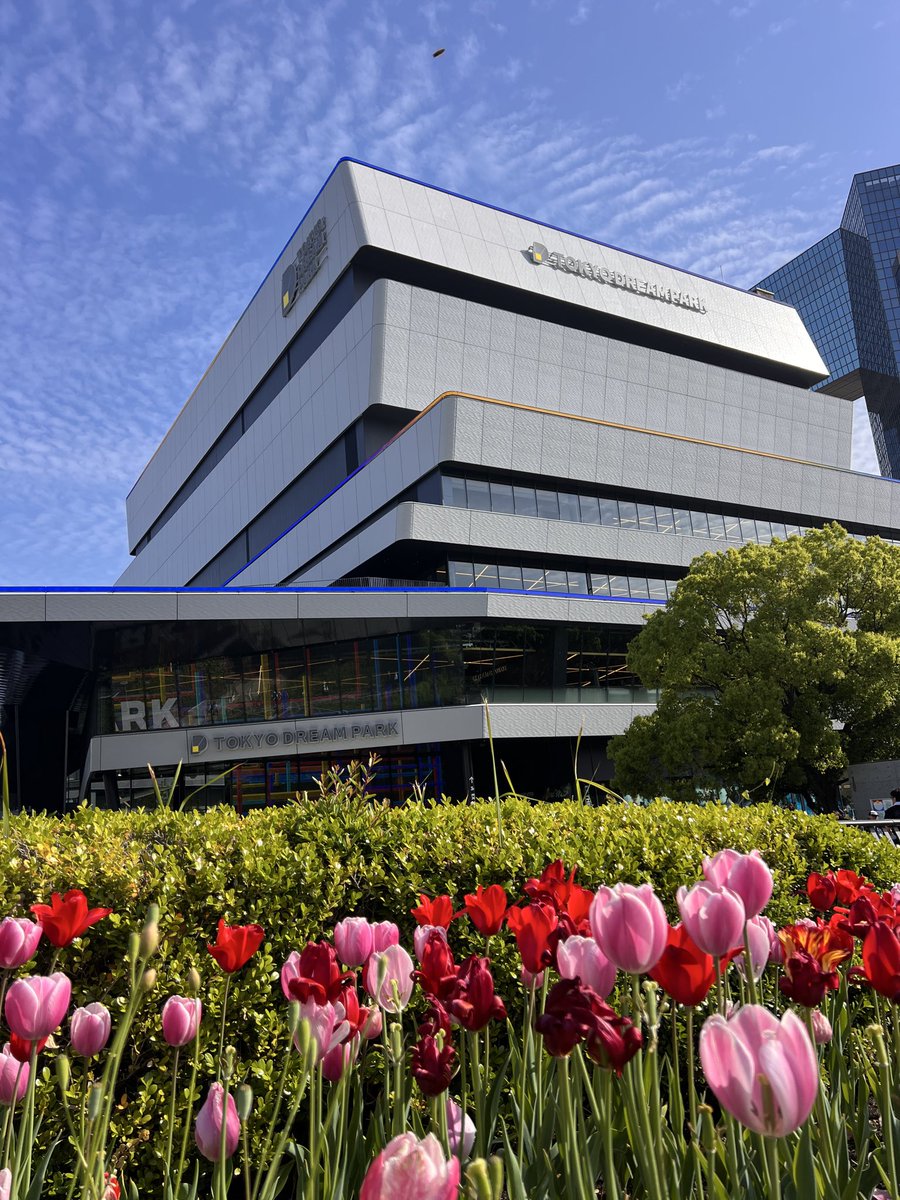 アミーゴ_ tweet media