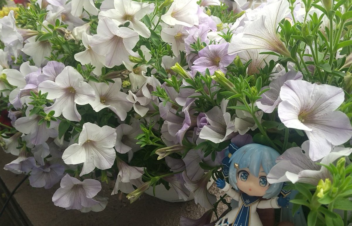 ふじえ tweet media