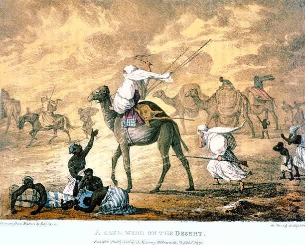 SLIMNAZI tweet media