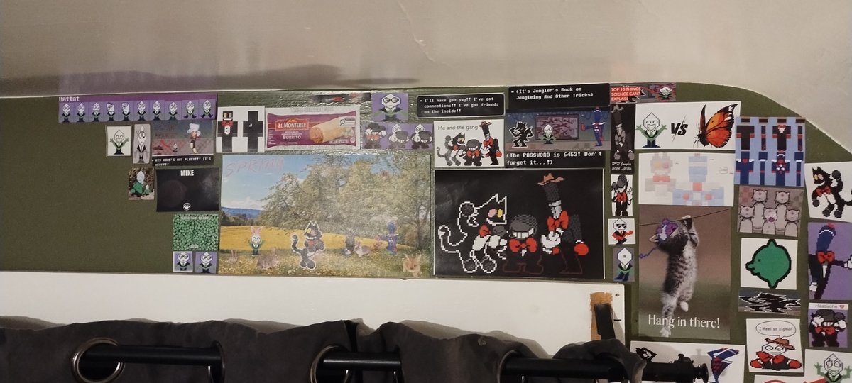 look at my wall🐈‍⬛🎲!! #miketwt