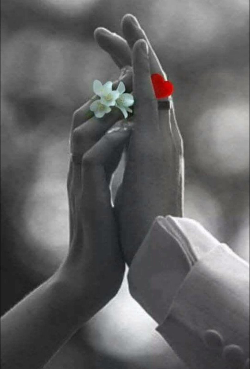 صباح الحب ♥️

أحبـك ليس اِعترافاً بِالحب فحسب بل هو تصريح 
متجدد أبدي بالانتماء وبالوفاء لك وحدك ...

أنشودة شاعر  ✍️