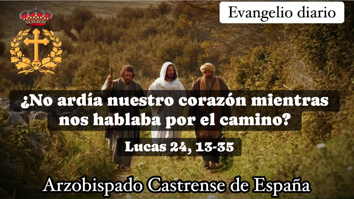 arzocastrense's tweet photo. Buenos dias. Evangelio del día. 🙏🏻🫡🇪🇸 ⬇️

#arzobispadocastrense 
#lasarmasdelafe
#EvangelioDiario
#Evangeliodeldia
#capellanescastrenses 
#Evangeliodiariodelpater 
#imagenyfrasedelevangelio https://t.co/eCRC5SwW5b