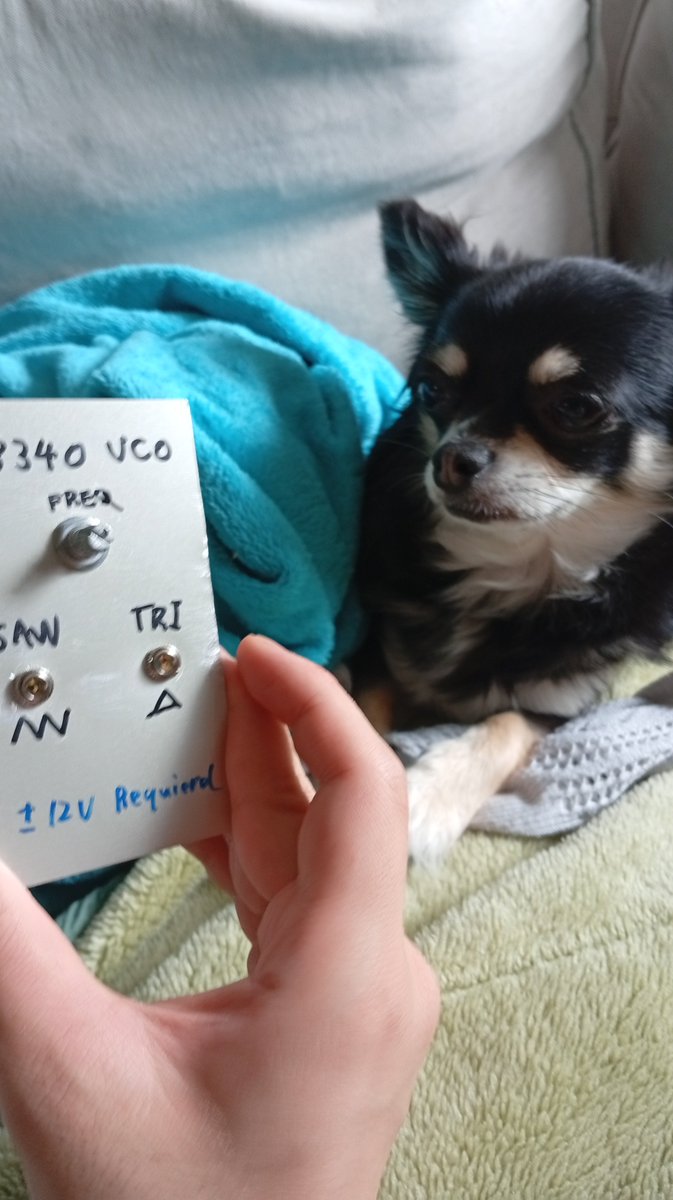 🐕‍🦺 (@kumabear2399) on Twitter photo 