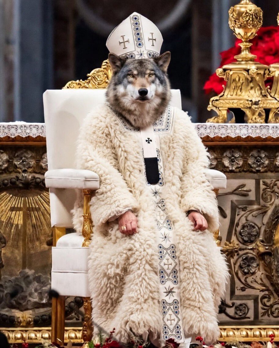 Paul & Dee 🇺🇸 CA-MAGA/MAHA AMERICAN 🇺🇸 FAMILY tweet media