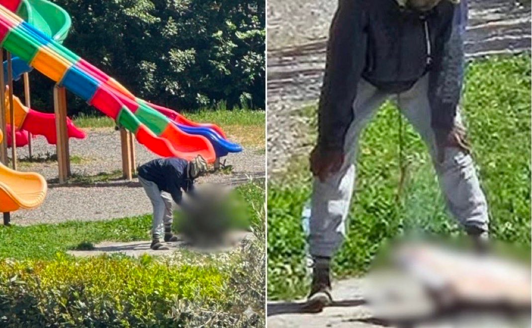 Trump Fact News 🇺🇸 tweet media