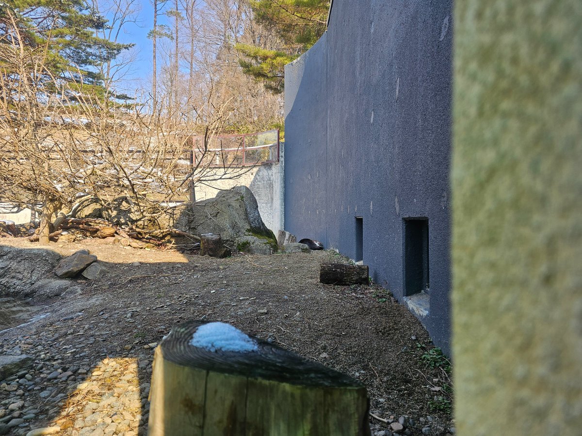 盛岡市動物公園 ZOOMO tweet media