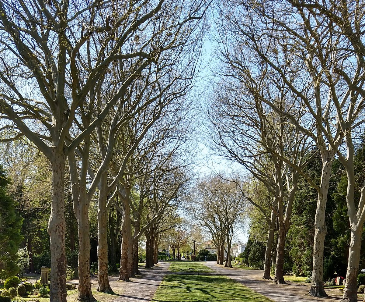 Lutzivdoehren 😎😊 tweet media