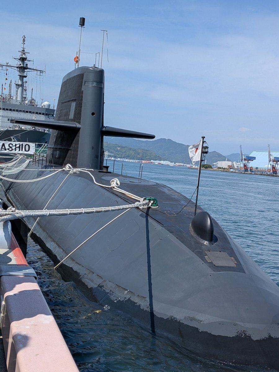 SUGI花粉 tweet media